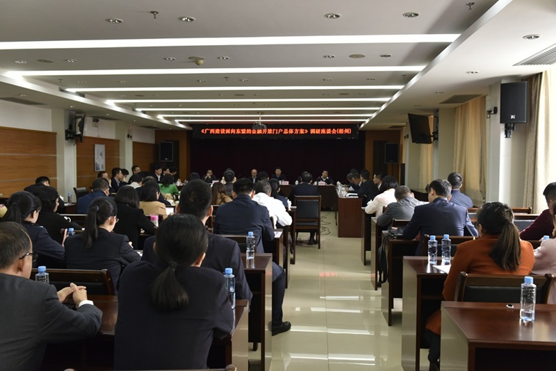 0328召開廣西建設(shè)面向東盟的金融開放門戶總體方案調(diào)研座談會.jpg