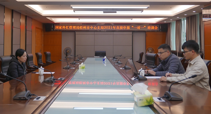 互聯網-梧州支局-國家外匯管理局梧州市中心支局開展直接申報“一對一”培訓活動-20211109.jpg