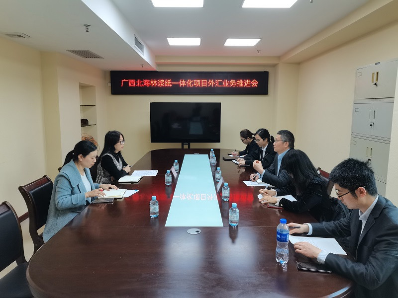 互聯(lián)網(wǎng)-北海市分局-國家外匯管理局北海市分局組織召開“廣西北海林漿紙一體化項目外匯業(yè)務(wù)推進(jìn)會”-20240306.jpg