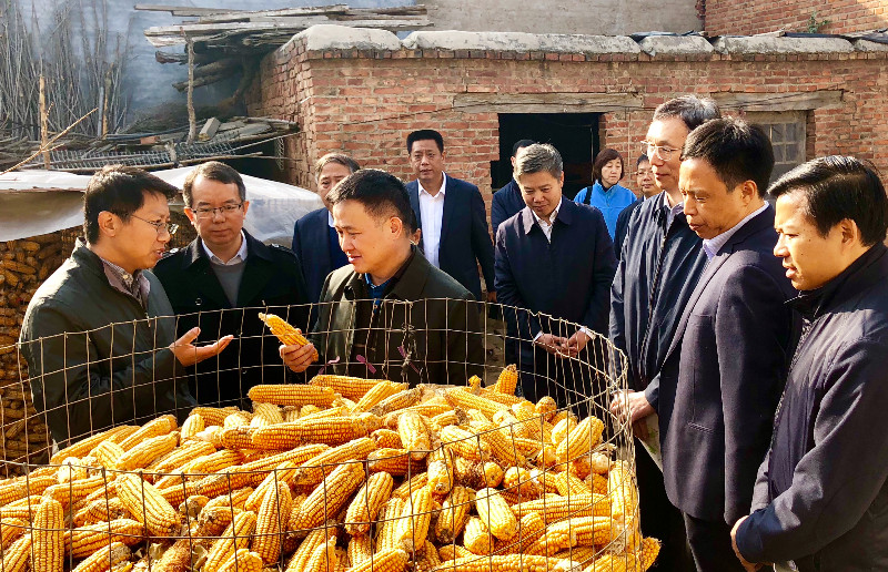 圖片1：國務(wù)院扶貧開發(fā)領(lǐng)導(dǎo)小組副組長，人民銀行黨委委員、副行長，國家外匯管理局黨組書記、局長潘功勝一行到河北省巨鹿縣調(diào)研定點(diǎn)扶貧工作.jpg
