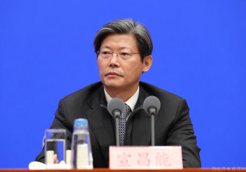 外匯局副局長(zhǎng)宣昌能.jpg